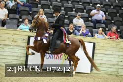 24BUCK_07242 thumbnail