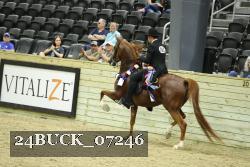 24BUCK_07246 thumbnail