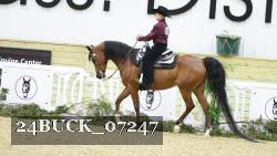24BUCK_07247 thumbnail