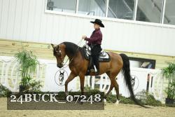 24BUCK_07248 thumbnail