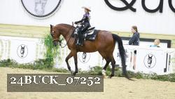 24BUCK_07252 thumbnail
