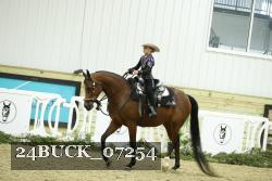 24BUCK_07254 thumbnail