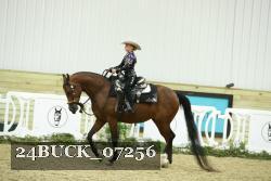 24BUCK_07256 thumbnail