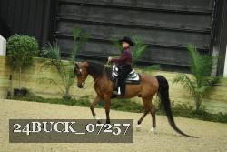 24BUCK_07257 thumbnail