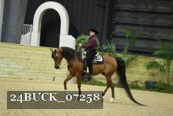 24BUCK_07258 thumbnail