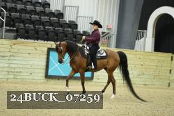 24BUCK_07259 thumbnail