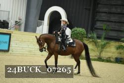 24BUCK_07265 thumbnail