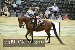 24BUCK_07300 thumbnail