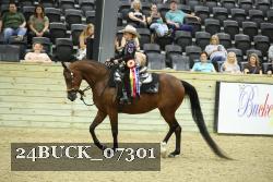 24BUCK_07301 thumbnail