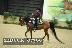 24BUCK_07306 thumbnail