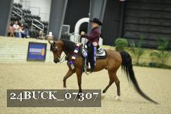 24BUCK_07307 thumbnail