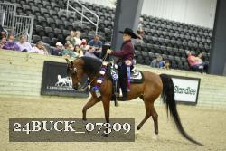 24BUCK_07309 thumbnail