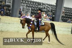 24BUCK_07310 thumbnail