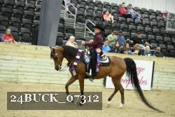 24BUCK_07312 thumbnail