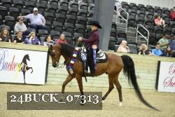 24BUCK_07313 thumbnail