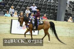 24BUCK_07314 thumbnail