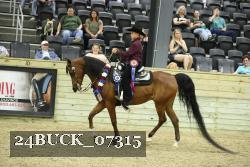 24BUCK_07315 thumbnail