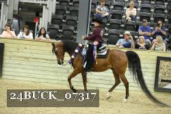 24BUCK_07317 thumbnail
