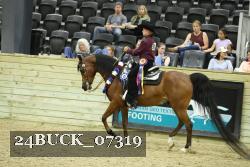 24BUCK_07319 thumbnail