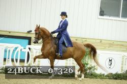 24BUCK_07326 thumbnail