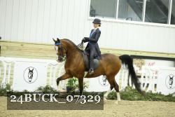 24BUCK_07329 thumbnail