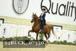 24BUCK_07330 thumbnail