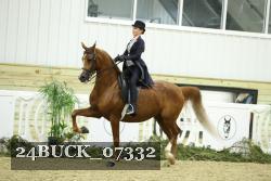 24BUCK_07332 thumbnail