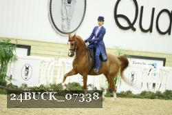 24BUCK_07338 thumbnail