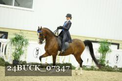 24BUCK_07347 thumbnail
