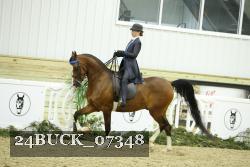 24BUCK_07348 thumbnail