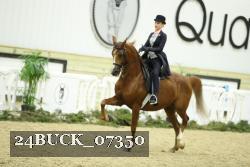 24BUCK_07350 thumbnail