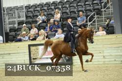 24BUCK_07358 thumbnail