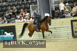 24BUCK_07360 thumbnail