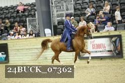 24BUCK_07362 thumbnail