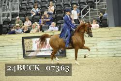24BUCK_07363 thumbnail