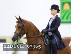 24BUCK_07365 thumbnail