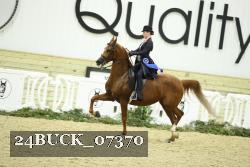 24BUCK_07370 thumbnail