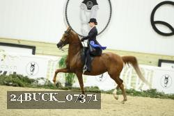 24BUCK_07371 thumbnail