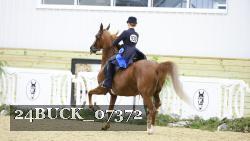 24BUCK_07372 thumbnail