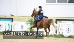 24BUCK_07373 thumbnail