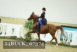 24BUCK_07374 thumbnail