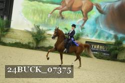 24BUCK_07375 thumbnail