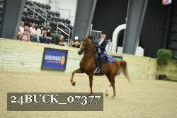 24BUCK_07377 thumbnail