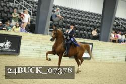 24BUCK_07378 thumbnail