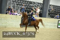 24BUCK_07379 thumbnail
