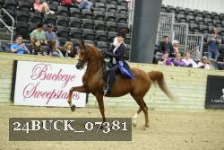 24BUCK_07381 thumbnail