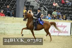 24BUCK_07382 thumbnail