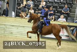 24BUCK_07385 thumbnail