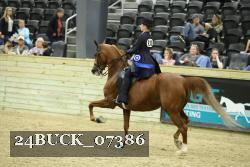 24BUCK_07386 thumbnail