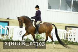 24BUCK_07395 thumbnail
